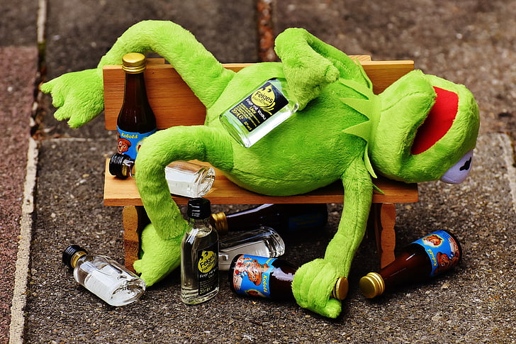kermit, frog, drink, alcohol, drunk, bank, rest