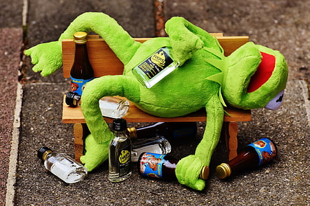 Kermit, granota, beguda, l'alcohol, borratxo, Banc, resta