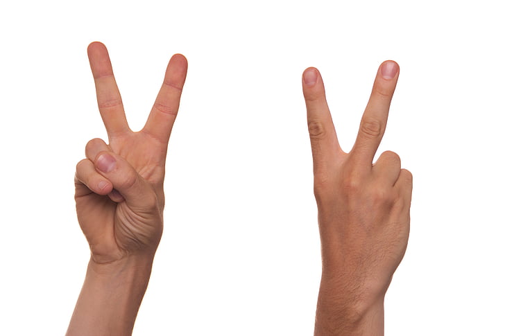 gesture, sign language, finger, v, symbol, man, human