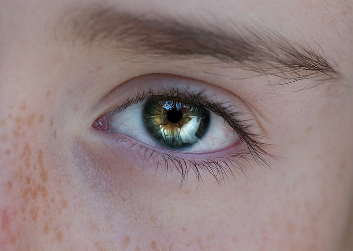 eye, human, person, close, view, pupil