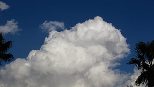 đám mây, Cumulus, bầu trời, trắng, màu xanh, sáng sủa, cloudscape