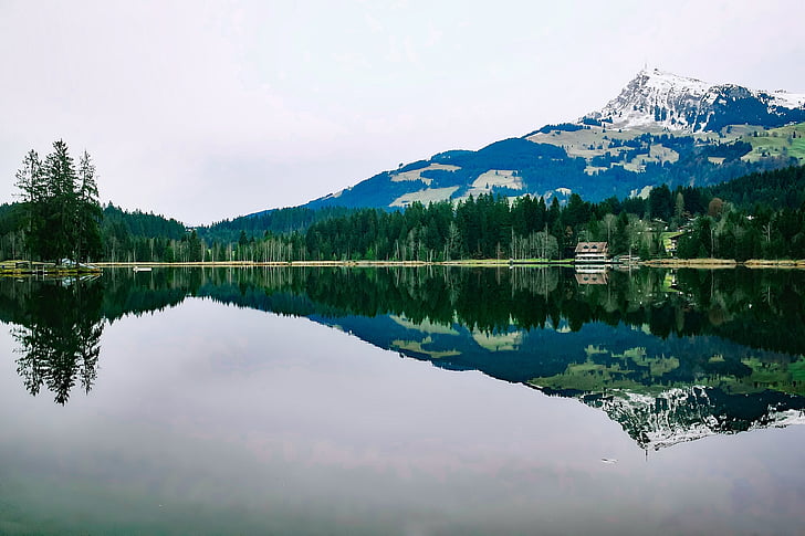 Rakousko, jezero, odrazy, krajina, hory, sníh, Les