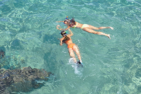 Snorkelling, air, cerah, liburan, Menyelam, biru, laut