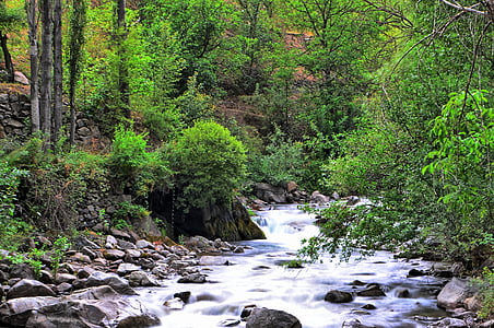 Ποταμός, τοπίο, Τουρκία, φύση, πράσινο, υπαίθριο, Natur