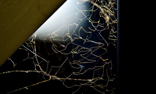 a spider's web, light, corner