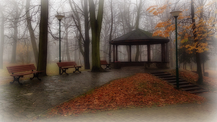 Olkusz, Lengyelország, Park, fa, ősz, táj