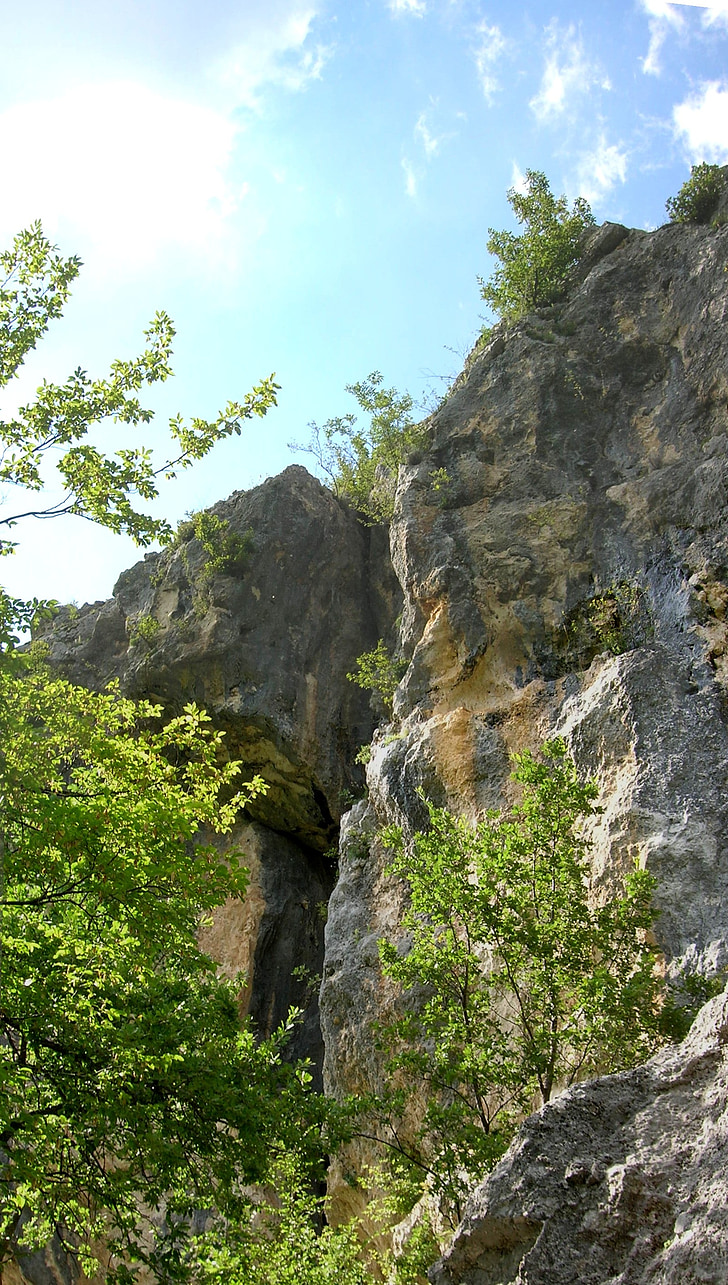 Rock, puud, Itaalia