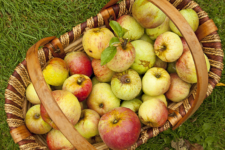 jabuke, Engleski jabuke, žetva, engleski, voće, hrana, tradicionalni
