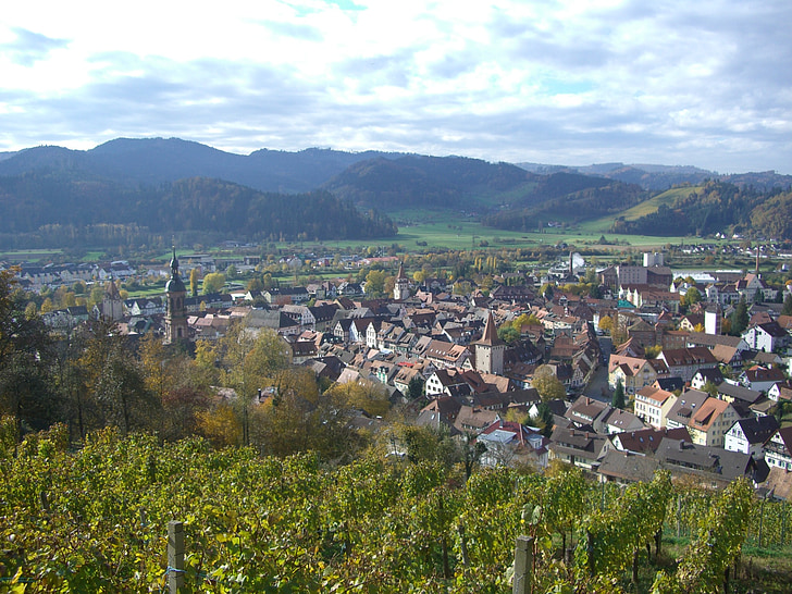 Gengenbach, vingården, Schwarzwald, svømme