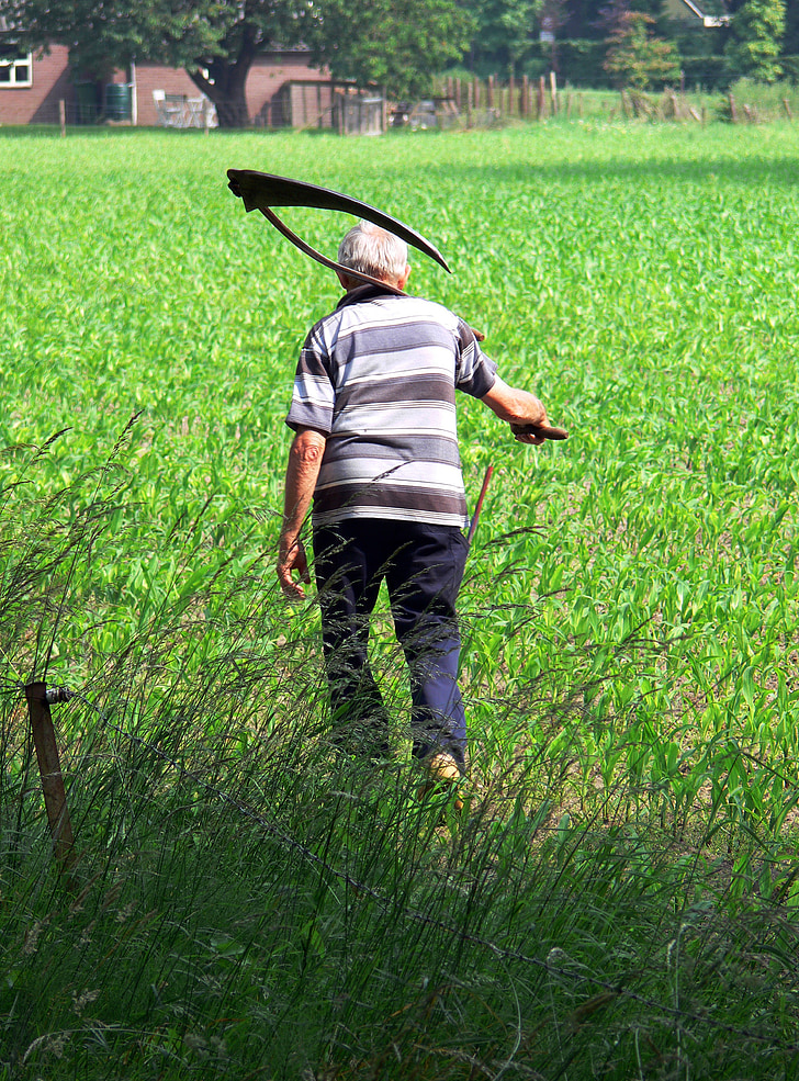 farmer, scythe, grass, work, country, worker
