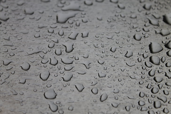 regn, droppar, vatten, naturen, vätska, våt, Regndroppar