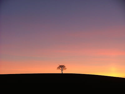 дерево, Захід сонця, поодинці, самотня, силует, червоний, stonnal