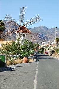 Gran canaria, Tây Ban Nha, đảo, Mill, Hoa, đường