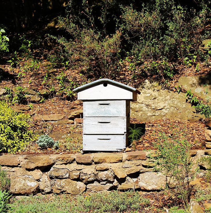 rusc, l'apicultura, jardí, rusc blau, apicultor, rusc, abella