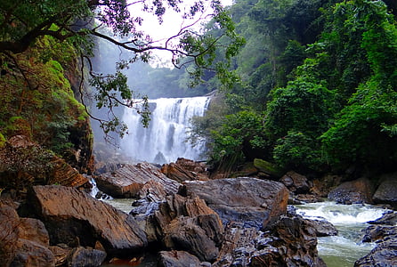 Sathodi fällt, Wasserfall, Kali-Fluss, Westghats, Wälder, yellapura, Uttar Kannada