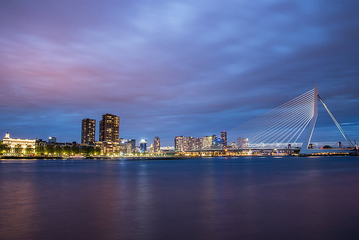 Rotterdam, Skyline, híd, Erasmus, este, Maas, folyó