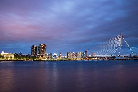 Ротердам, Skyline, мост, Еразъм, вечерта, Маас, река