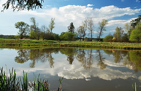spring, landscape, water-level, signs of spring, pond, blue sky, trees