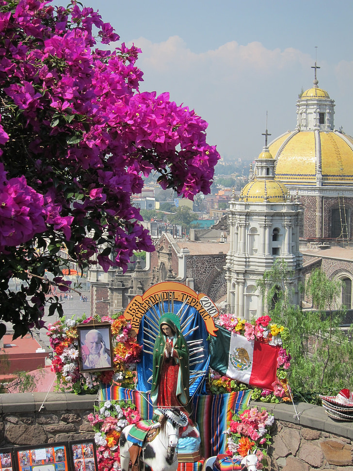Mexiko, kostel, Panny Marie, Maria, květiny