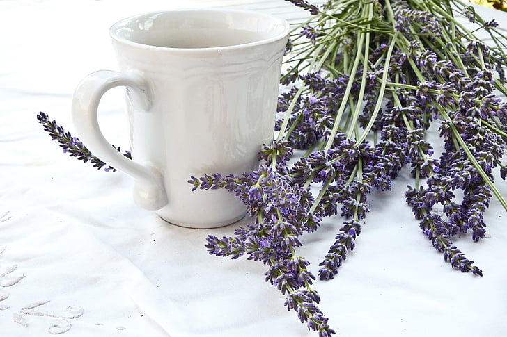 lavender, cup, tablecloth, lifestyle, blue, white, drink