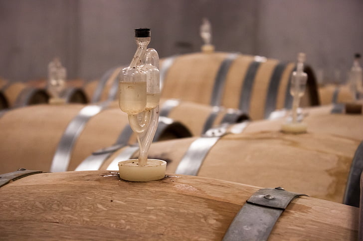 wine, barrel, wine barrel, barrels, wooden barrels, wine barrels, keller