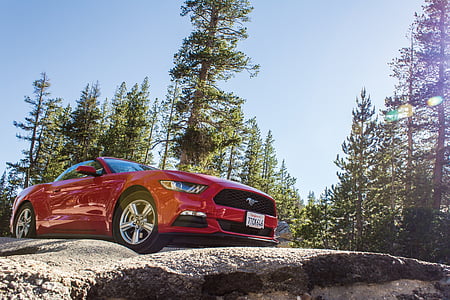 red, car, natural, stone, trees, ford mustang