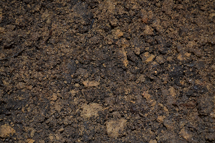 brutícia, sòl, testos, barreja, terra, fang, plantació