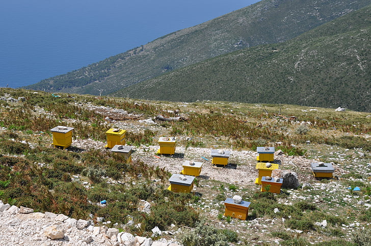 Albanija, košnica, Pčelarstvo, Europe, vanjski, tradicionalni, Balkana