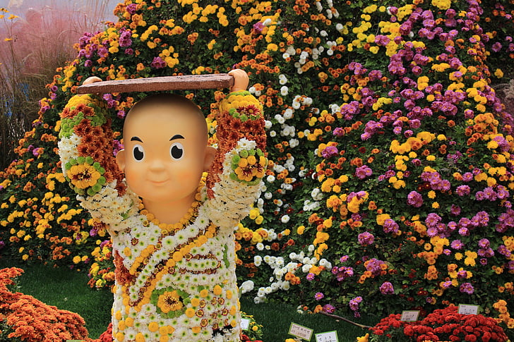 temple de Jogye, festival du chrysanthème, Corée, Séoul, Temple, cuivre carrés, fleur