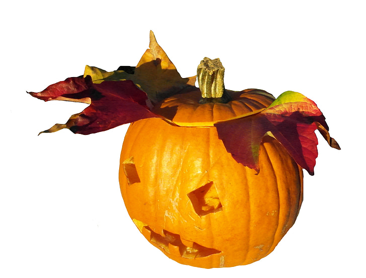 pumpkin, gourd, harvest, thanksgiving, orange, autumn, decoration