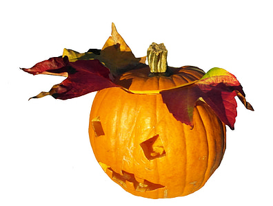 græskar, centnergraeskar, høst, Thanksgiving, orange, efterår, dekoration