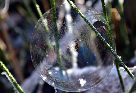 bubbla, såpbubbla, bollen, bakgrund, vinter, kalla, Lichtspiel