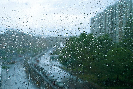 rain, window, drop, glass, weather, wet, home