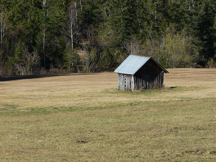 hut, landscape, moor, nature, wetland, log cabin, autumn
