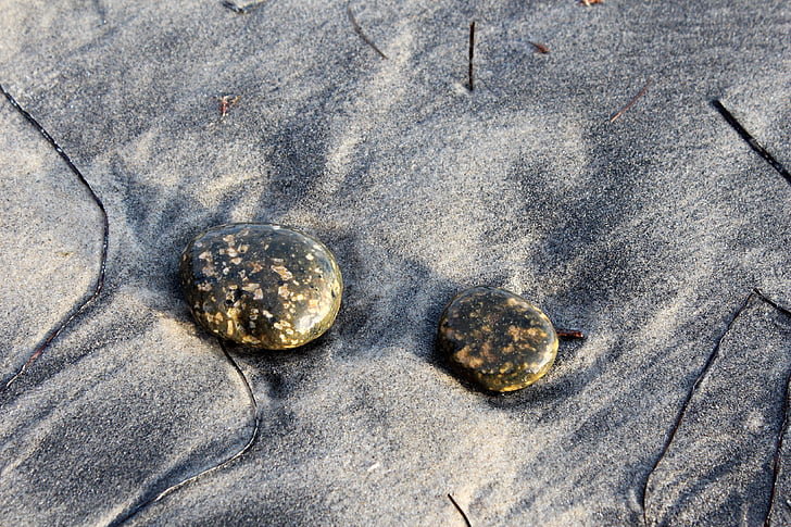 steiner, stranden, sandstranden, sand, California, San Diego, Encinitas