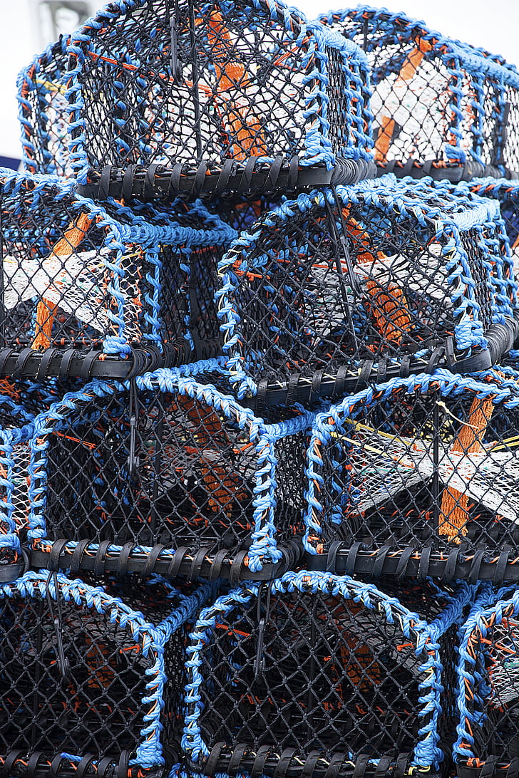 crab pot, fishing, pot, trap, marine, net, crabbing