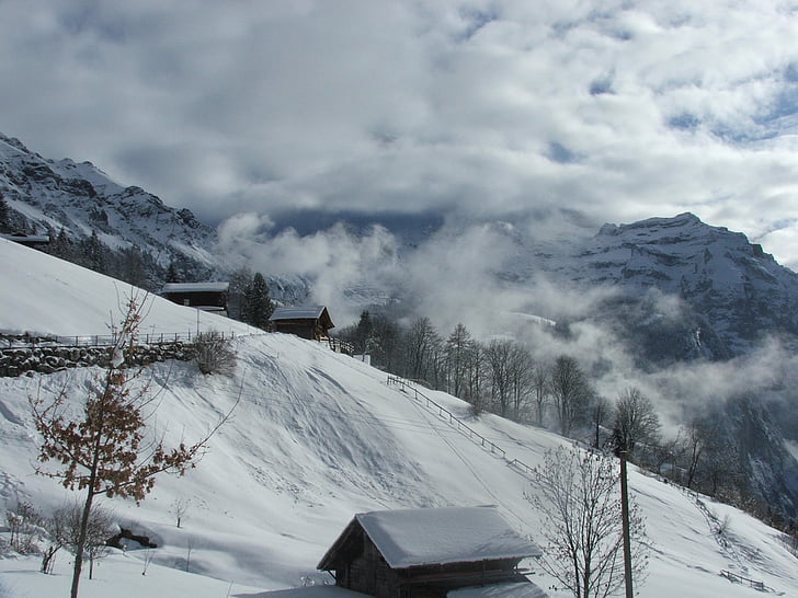Jungfrau, nézet, hó, hegyi, Alpok, téli