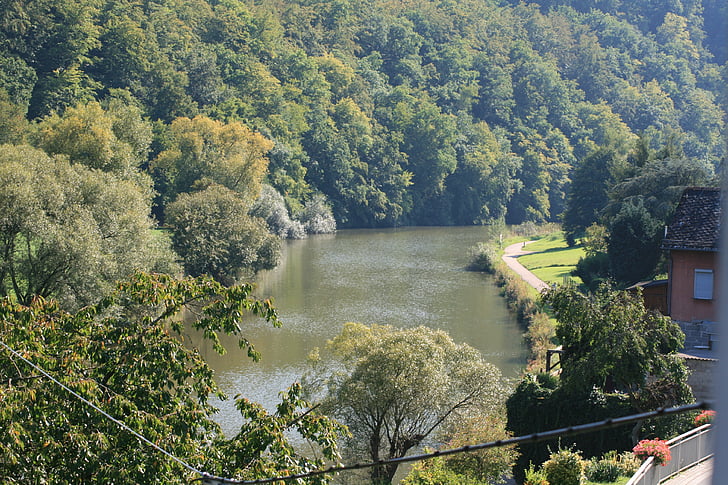 river, water, nature, waters, trees, aue, valley