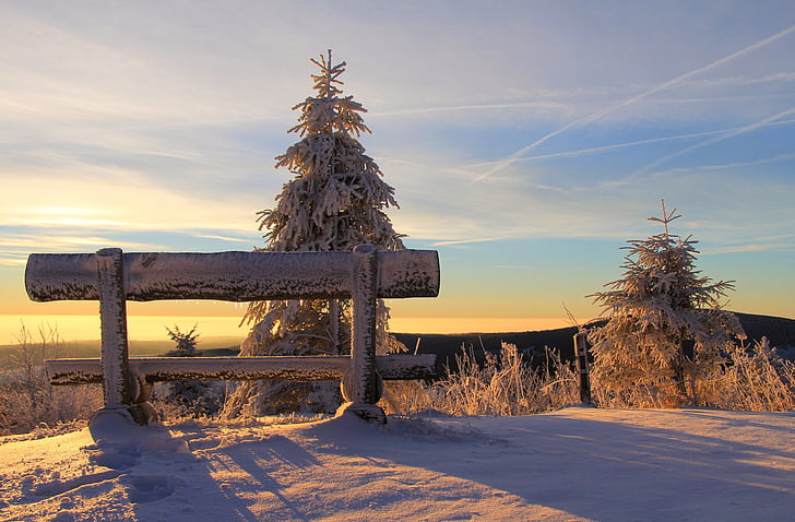 bench, clouds, cold, nature, snow, sunrise, sunset