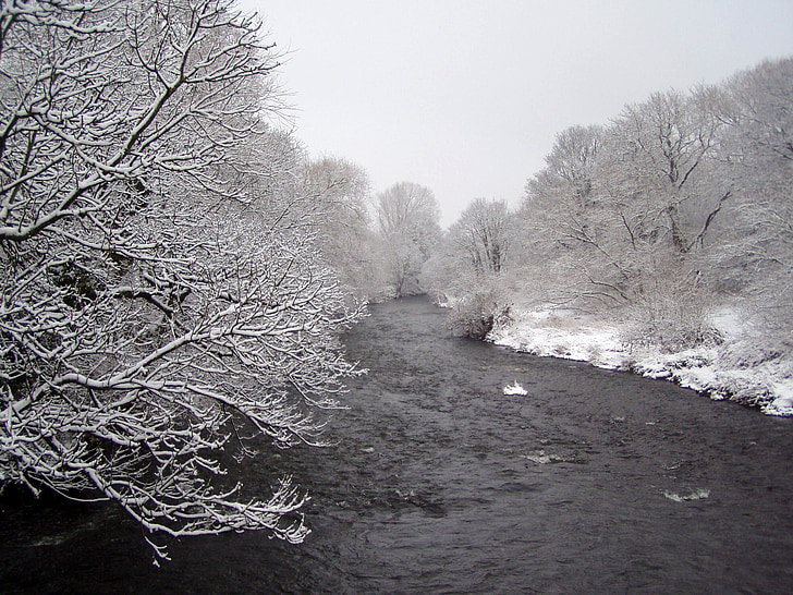 χειμερινές, χειμερινή χώρα των θαυμάτων, χιόνι, πάγου, φύση, δέντρα, τοπίο του ποταμού