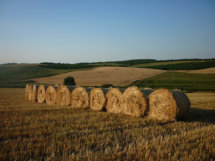 straw bale, hill, harvest, wheat