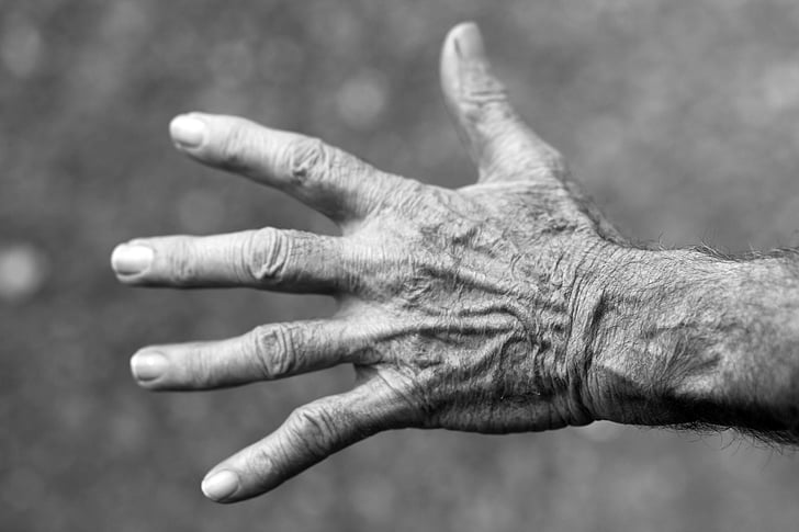 mà, anciana, arrugues, mà humana, adult sènior, dit humà, blanc i negre