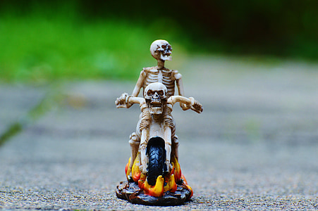 ποδηλάτης, σκελετός, ανατριχιαστικό, περίεργο, διακόσμηση, τρομακτικό, των οστών