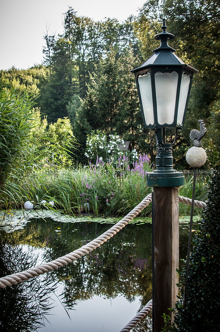 pond, lamp, teichplanze, plant, garden pond, trees, mirroring