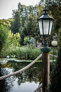 ribnik, svetilka, teichplanze, rastlin, Vrtni ribnik, dreves, zrcaljenje