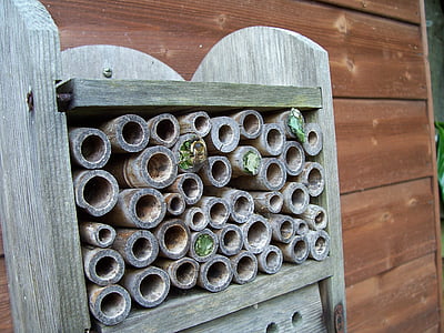 casa de insetos, abelhas do folha-cortador, abelhas Mason, folha, folhas, lama, madeira
