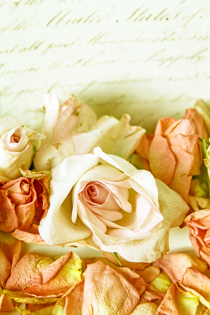 mawar, Vintage, Main-Main, romantis, latar belakang, dekorasi, lama
