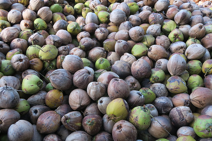 kokosrieksts, eksotiskiem augļiem