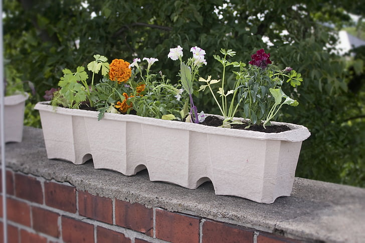 balkon vak, plantenbak, bloempot, bloemen krat, plant, oud papier, bio