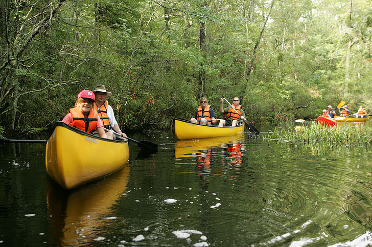 kano, elven, båt, vann, natur, rekreasjon, sport